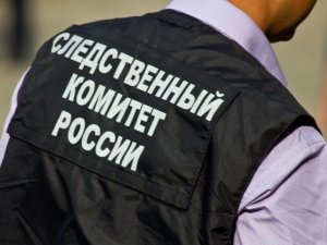 Главе ведомства будет представлен доклад о расследовании обстоятельств хулиганских действий в подмосковной Электростали